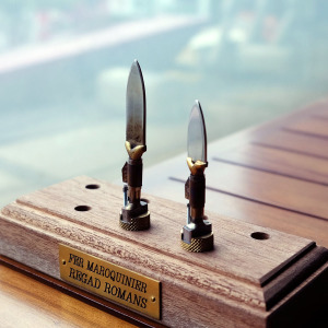 REGAD 劍形刮蠟燙頭 REGAD 劍形刮蠟燙頭