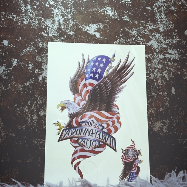 限量新款大圖刺青紋身 美鷹 限量新款大圖刺青紋身 美鷹