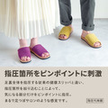 Alphax fumippa 健康室內鞋_1 Alphax fumippa 健康室內鞋_1