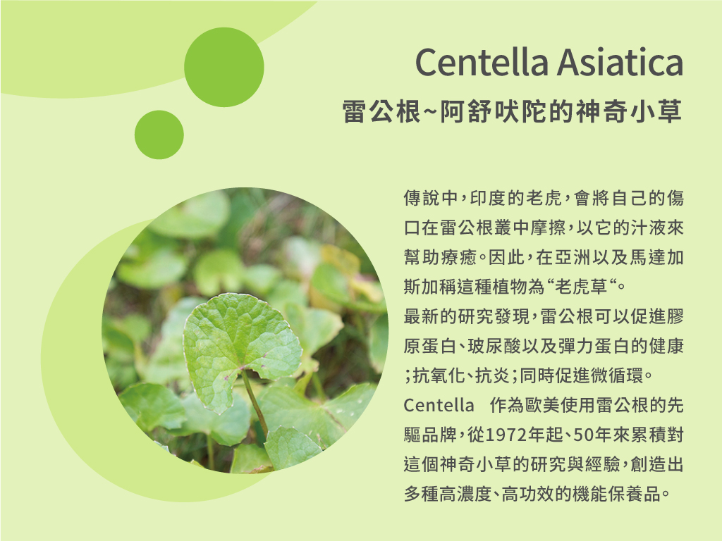 Centella 雷公根面部濃縮精華,發炎肌膚、面皰肌膚、紅血絲、濕疹發紅、表皮薄、鬆弛、毛孔粗大等肌膚問題解決方案