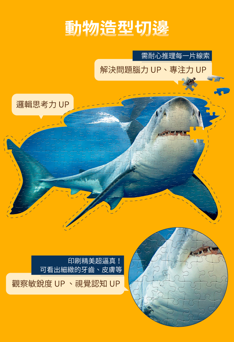I AM 拼圖 | 我是大白鯊, 100 系列