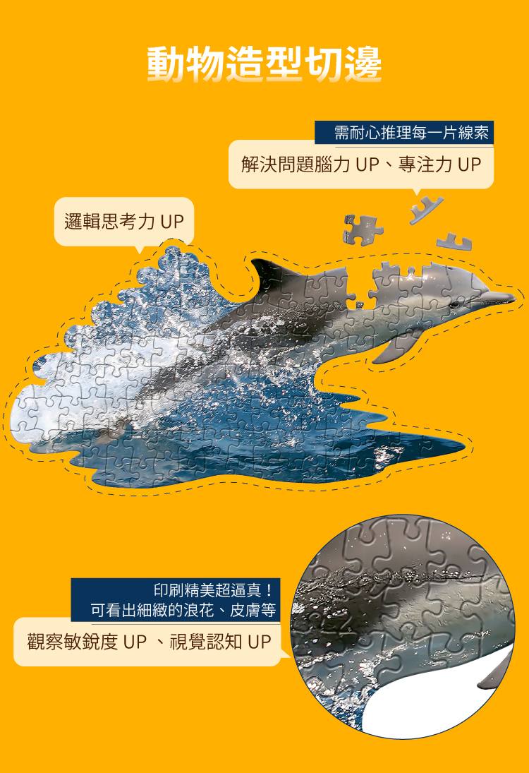 I AM 拼圖 | 我是海豚, 100 系列