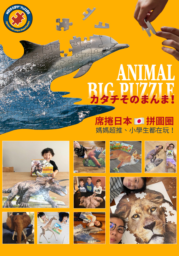 I AM 拼圖 | 我是海豚, 100 系列