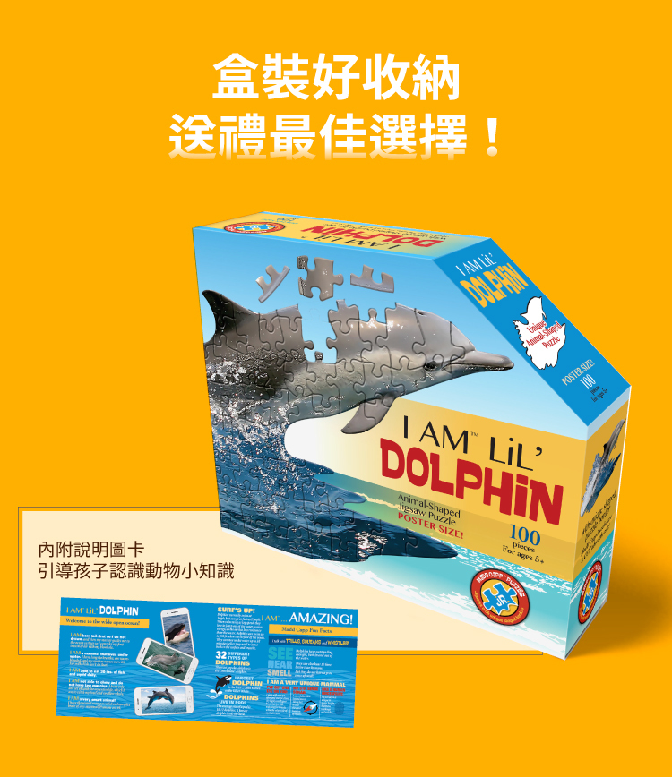 I AM 拼圖 | 我是海豚, 100 系列