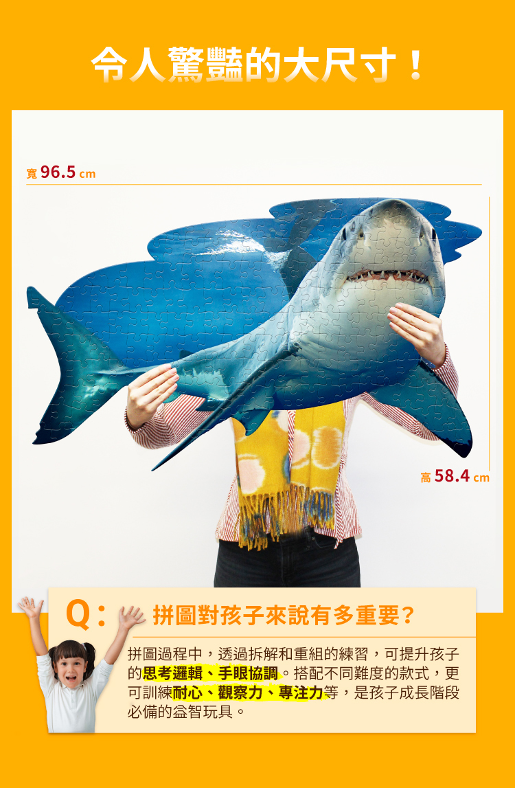 I AM 拼圖 | 我是大白鯊, 100 系列