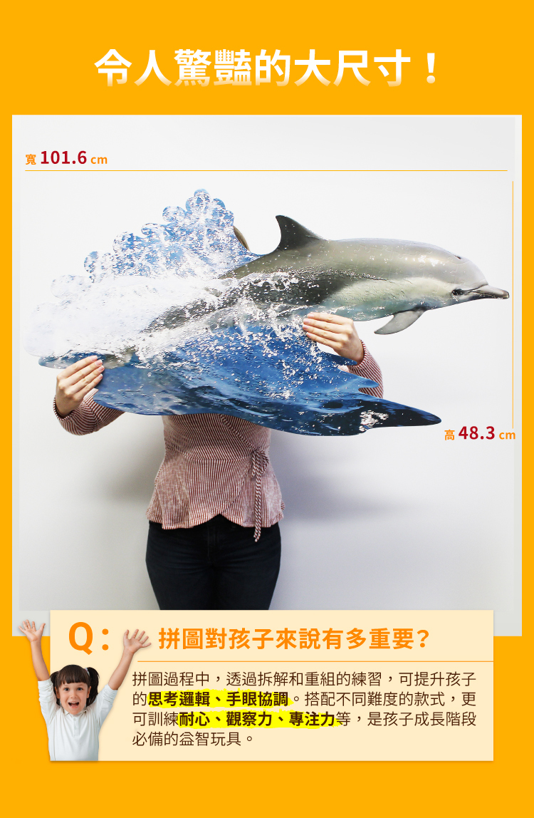 I AM 拼圖 | 我是海豚, 100 系列