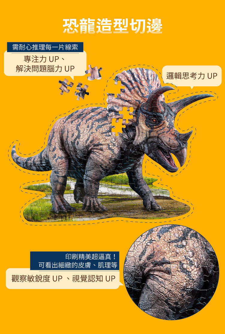 I AM 拼圖|我是三角龍, 100 系列
