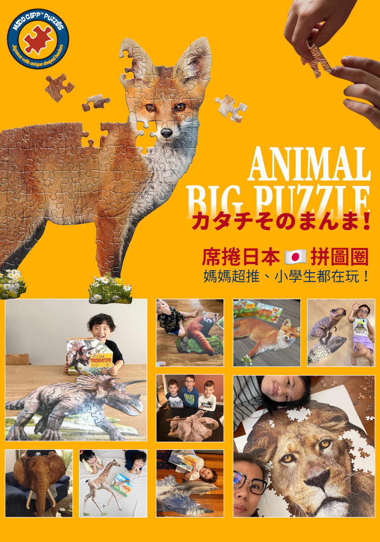 I AM 拼圖|我是狐狸, 100 系列