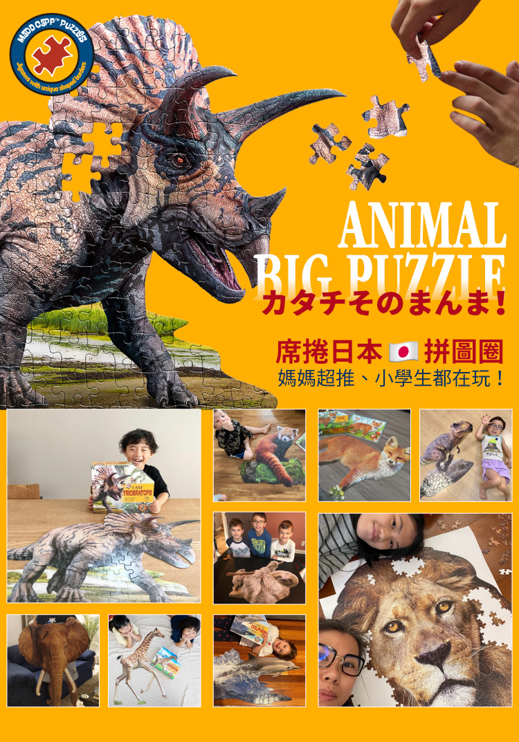 I AM 拼圖|我是三角龍, 100 系列