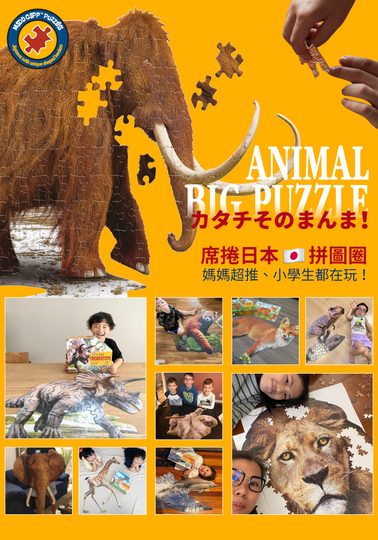 I AM 拼圖|我是猛瑪象, 100 系列