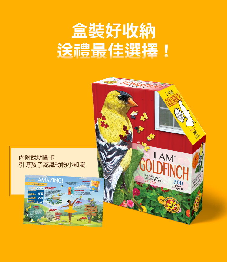 I AM 拼圖|我是金翅雀, 300 系列