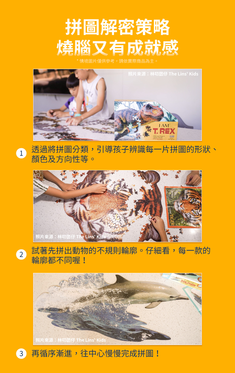 I AM 拼圖|我是金翅雀, 300 系列