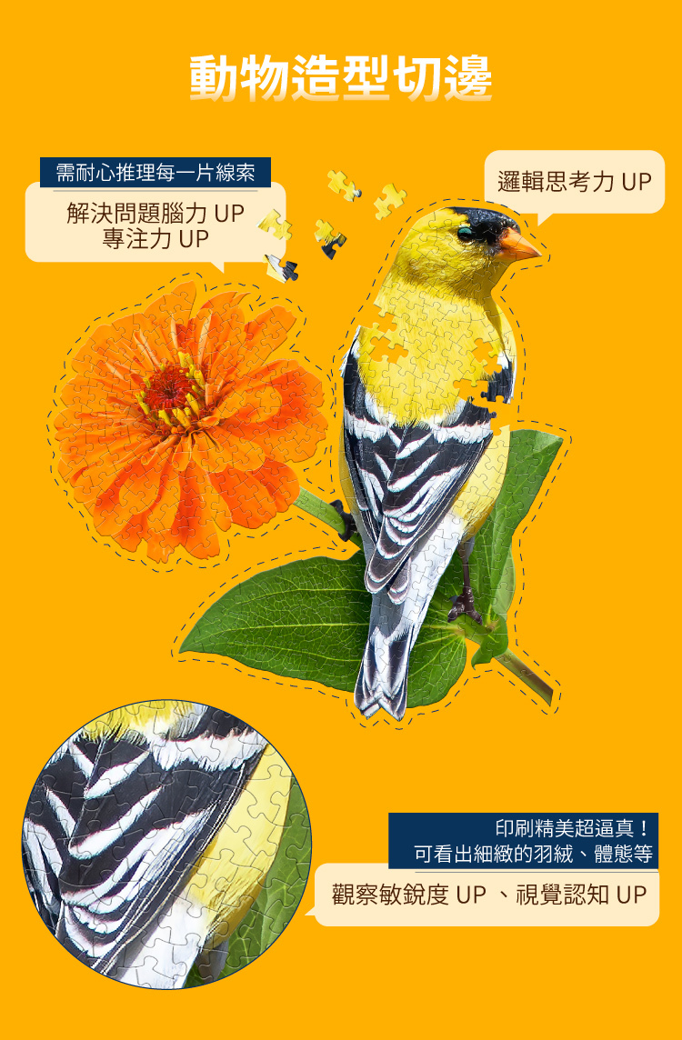 I AM 拼圖|我是金翅雀, 300 系列