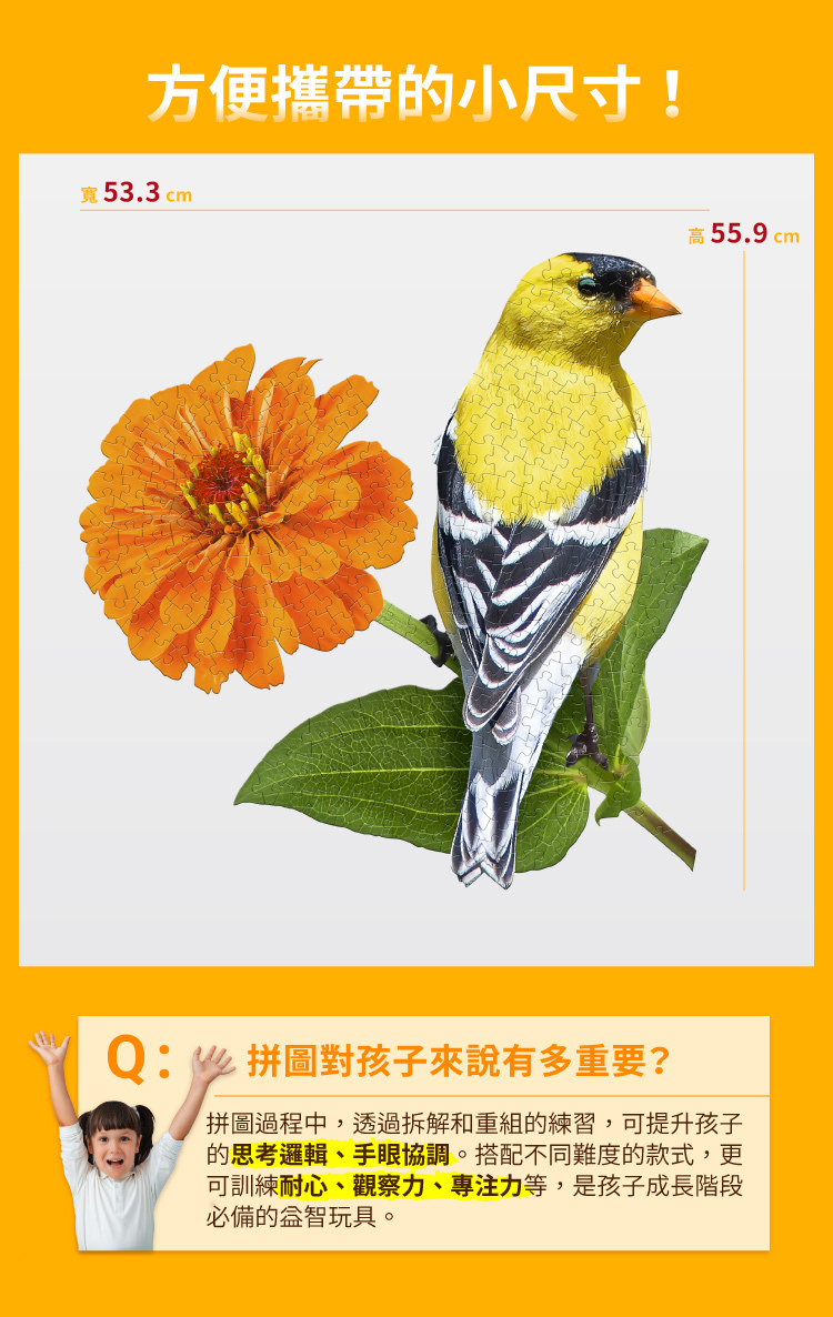 I AM 拼圖|我是金翅雀, 300 系列