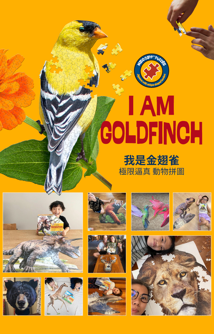 I AM 拼圖|我是金翅雀, 300 系列