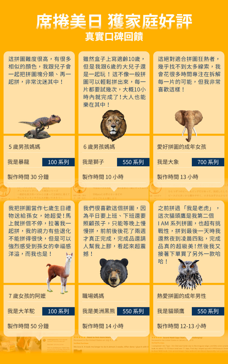 I AM 拼圖|我是蜂鳥, 300 系列