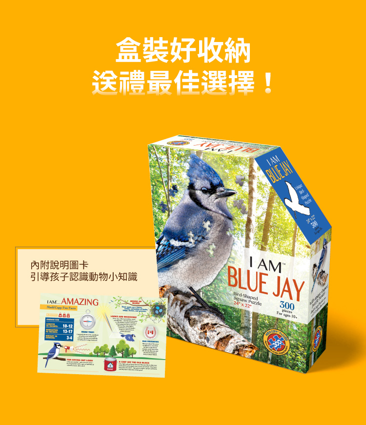 I AM 拼圖|我是藍樫鳥, 300 系列