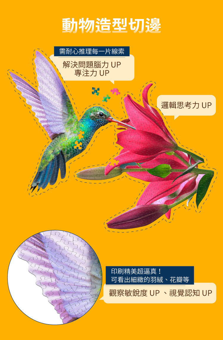 I AM 拼圖|我是蜂鳥, 300 系列