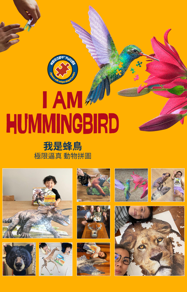 I AM 拼圖|我是蜂鳥, 300 系列