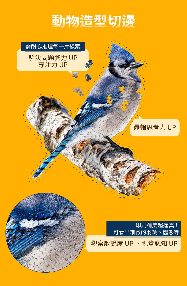 I AM 拼圖|我是藍樫鳥, 300 系列