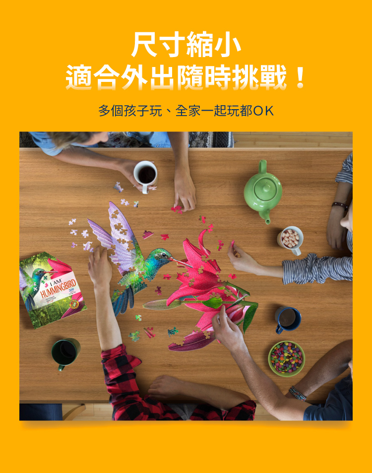 I AM 拼圖|我是蜂鳥, 300 系列