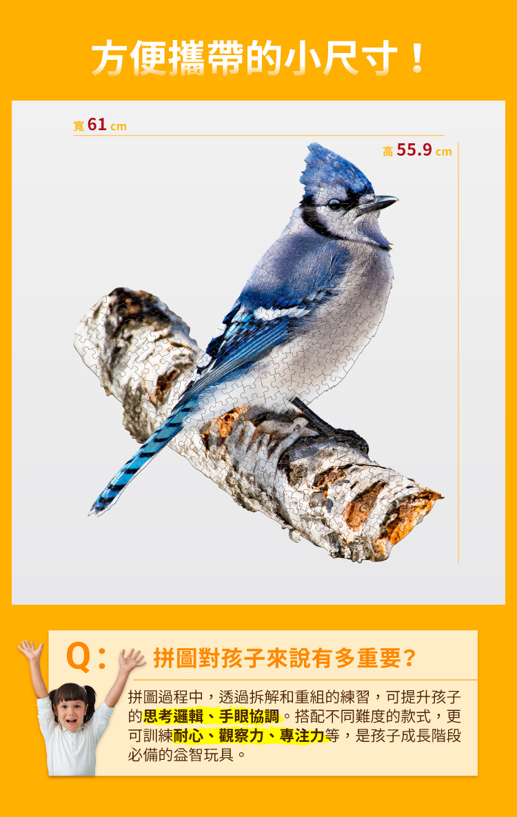 I AM 拼圖|我是藍樫鳥, 300 系列