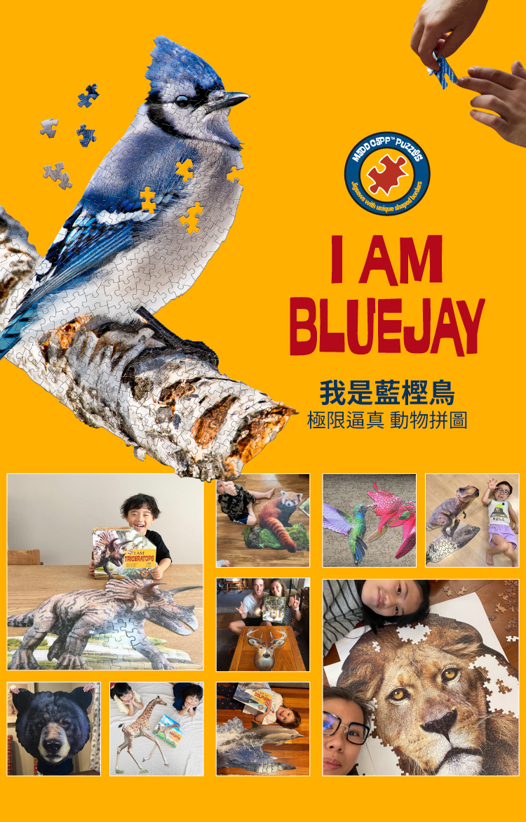 I AM 拼圖|我是藍樫鳥, 300 系列