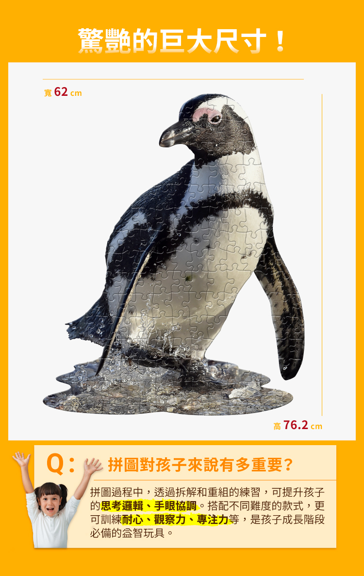 I AM 拼圖|我是企鵝, 100 系列