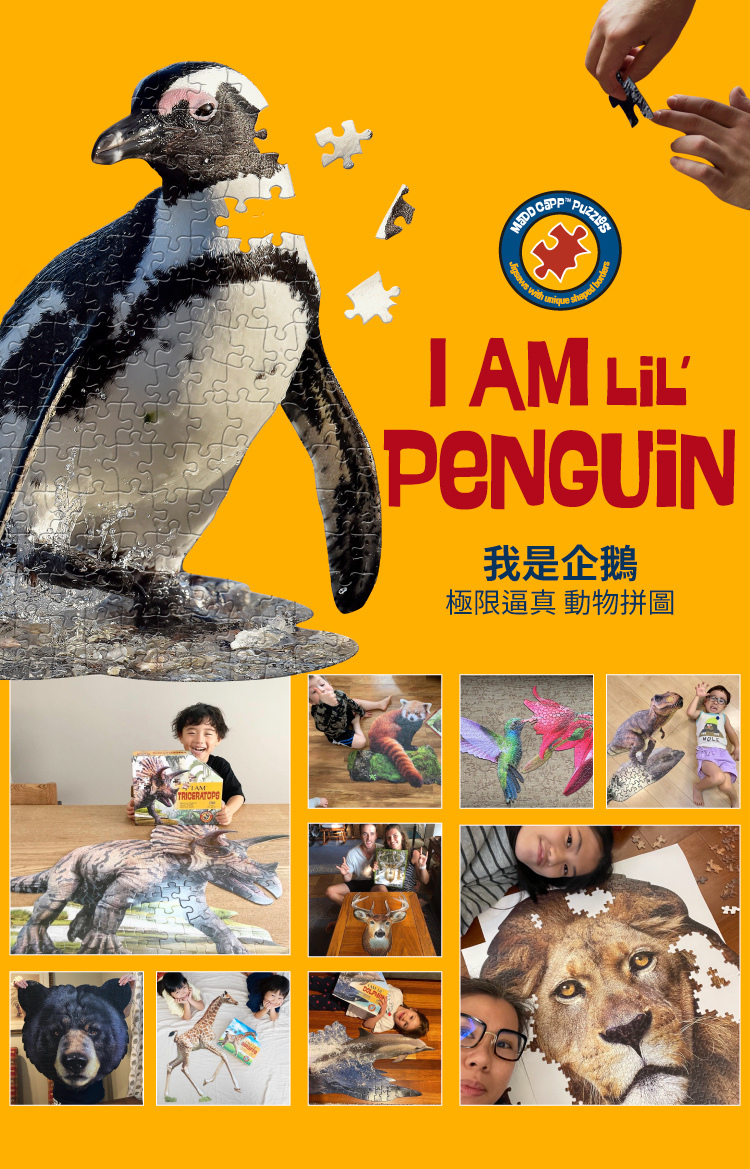 I AM 拼圖|我是企鵝, 100 系列