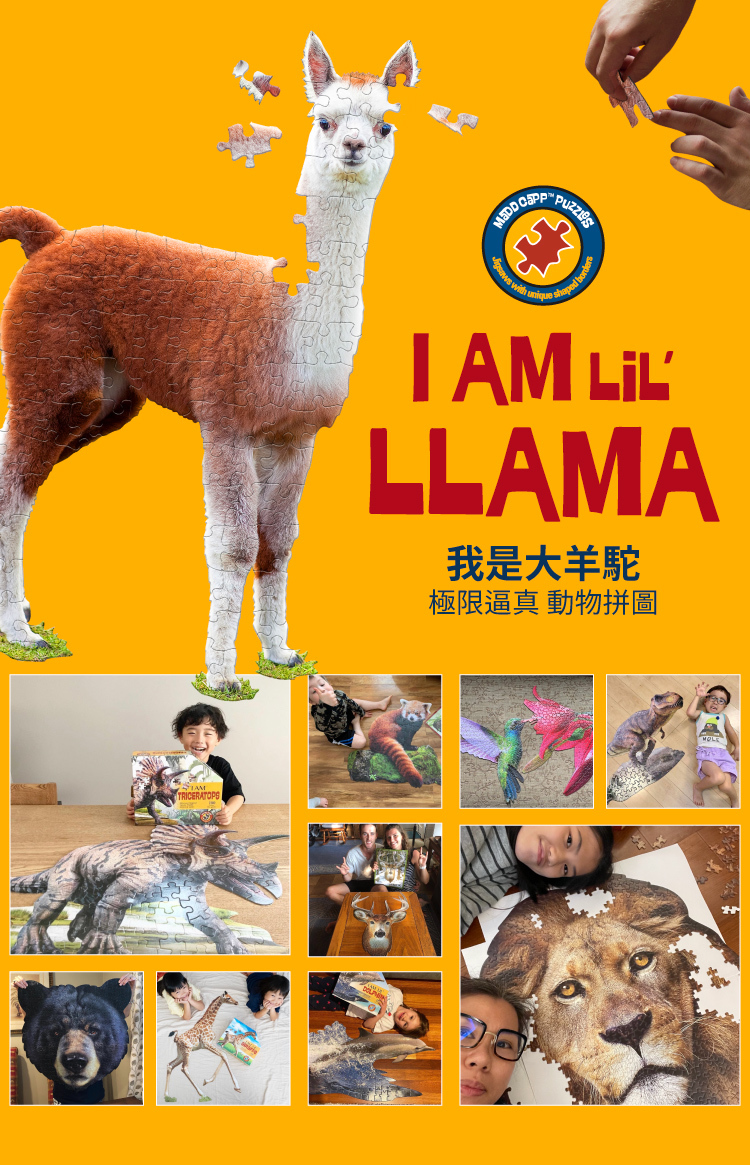I AM 拼圖|我是大羊駝, 100 系列