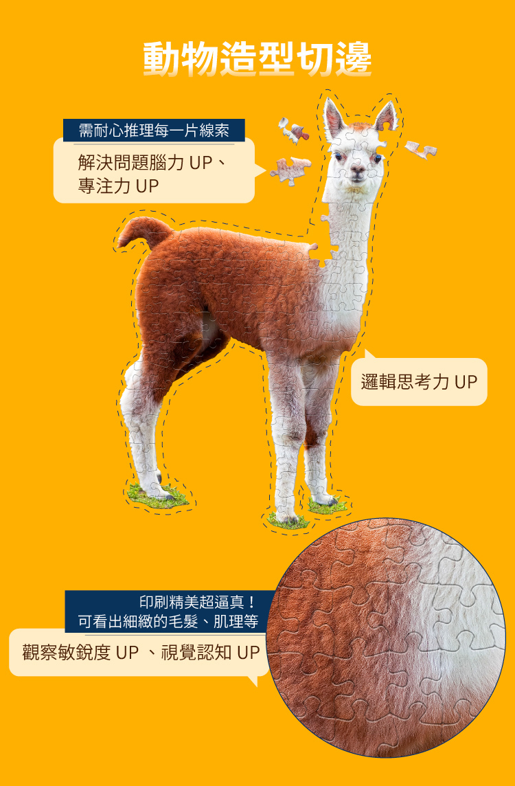 I AM 拼圖|我是大羊駝, 100 系列