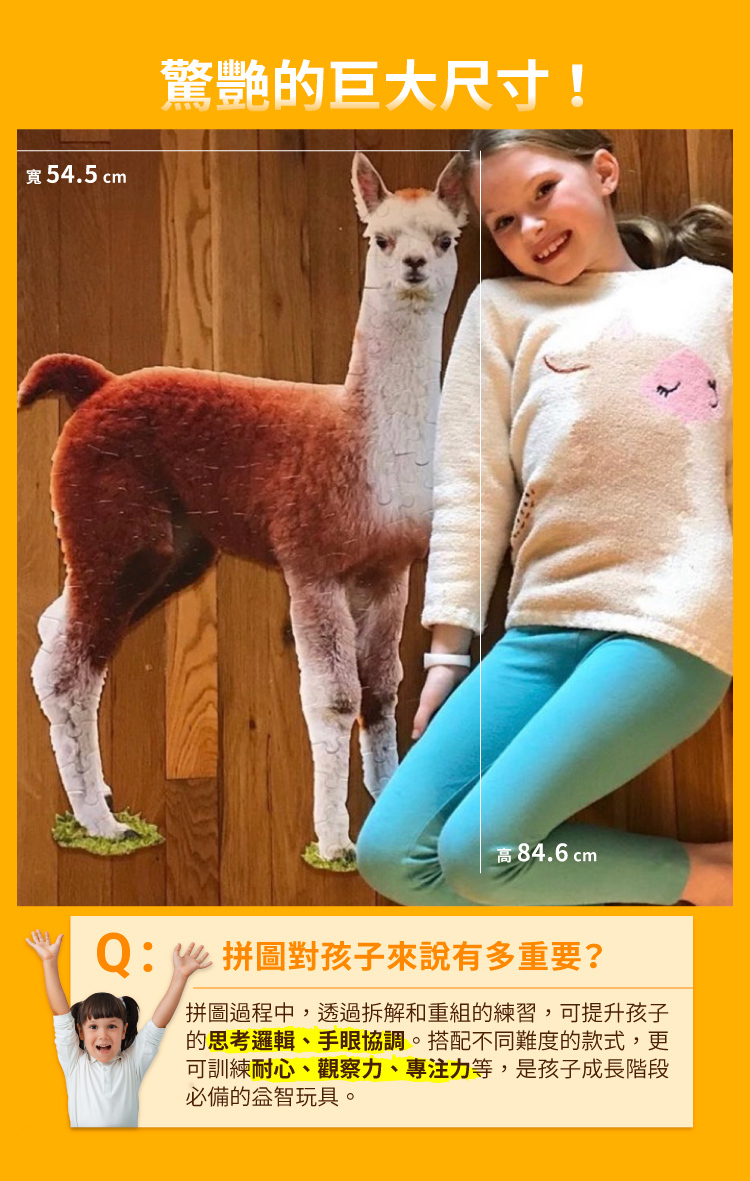 I AM 拼圖|我是大羊駝, 100 系列