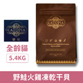 Catopia 樂境 凍乾全齡貓鮮糧-野鮭火雞凍乾干貝 5.4kg_1 Catopia 樂境 凍乾全齡貓鮮糧-野鮭火雞凍乾干貝 5.4kg_1