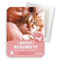 「貓奴專屬」NEKOMOTE 貓咪愛的味道泡澡包 30g(三款可選) 「貓奴專屬」NEKOMOTE 貓咪愛的味道泡澡包 30g(三款可選)