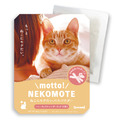 「貓奴專屬」NEKOMOTE 貓咪愛的味道泡澡包 30g(三款可選)_2 「貓奴專屬」NEKOMOTE 貓咪愛的味道泡澡包 30g(三款可選)_2