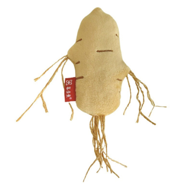 仿真人參貓薄荷玩具 仿真人參貓薄荷玩具