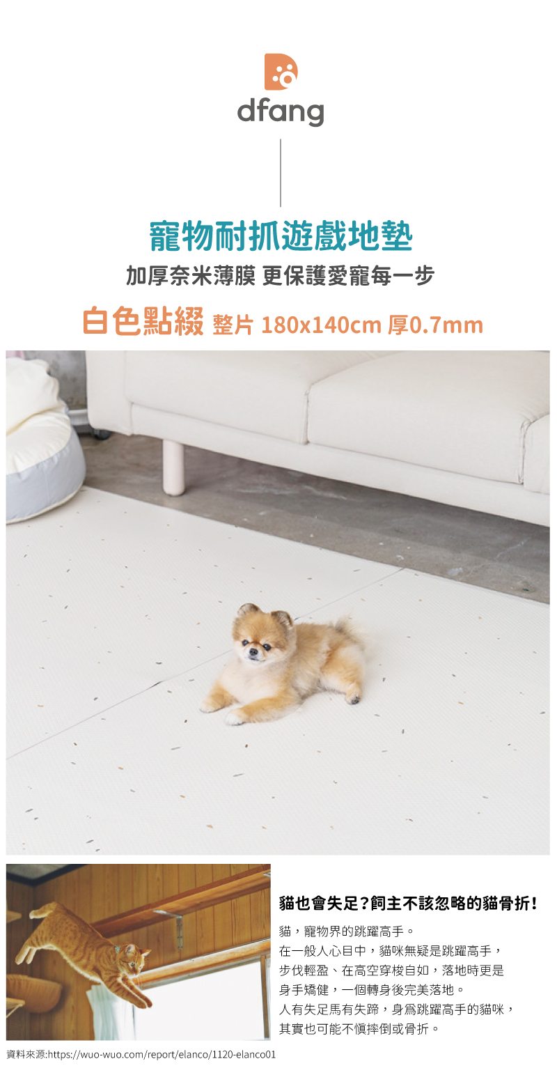 韓國製 dfang迪邦 奈米膜耐抓寵物遊戲地墊-白色點綴 (180x140cm整片式加厚款)