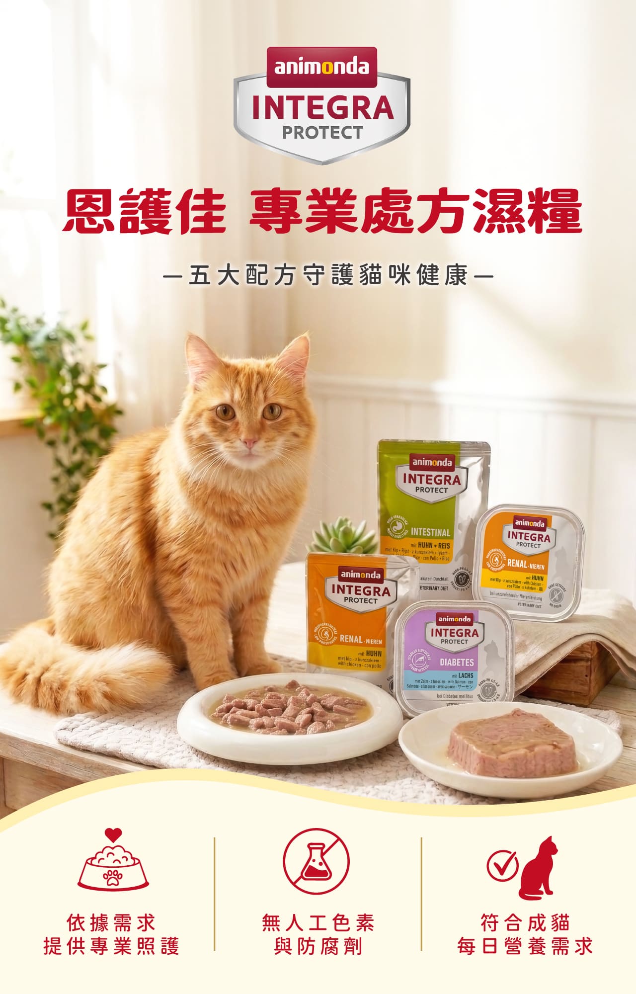Animonda愛諾德 Integra恩護佳專業處方餐盒-糖尿病用貓火雞兔肉100gx16入/盒