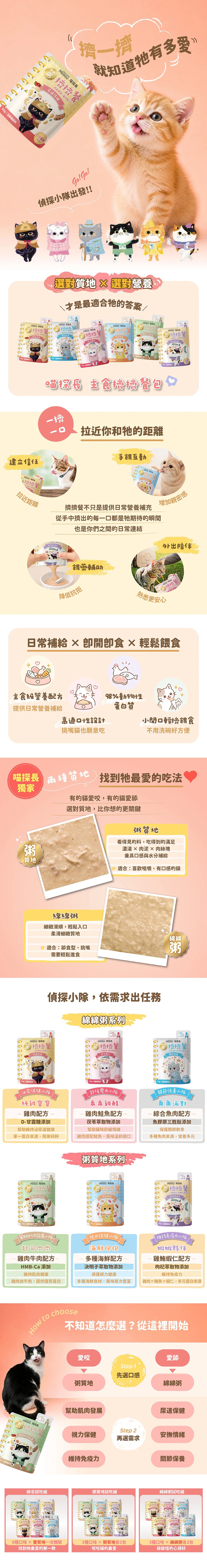 Detective Meoow 喵探長 主食擠擠餐包(綿綿粥)40g-綜合隨機口味12入/包