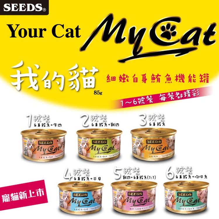 我的貓