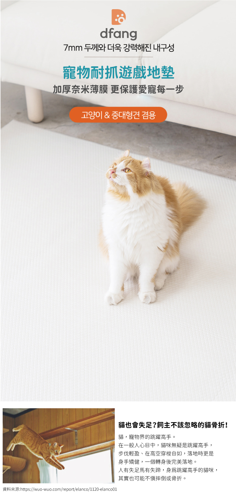 韓國製 dfang迪邦 寵物耐抓遊戲地墊-簡約素灰 (180x140cm加厚款7mm)
