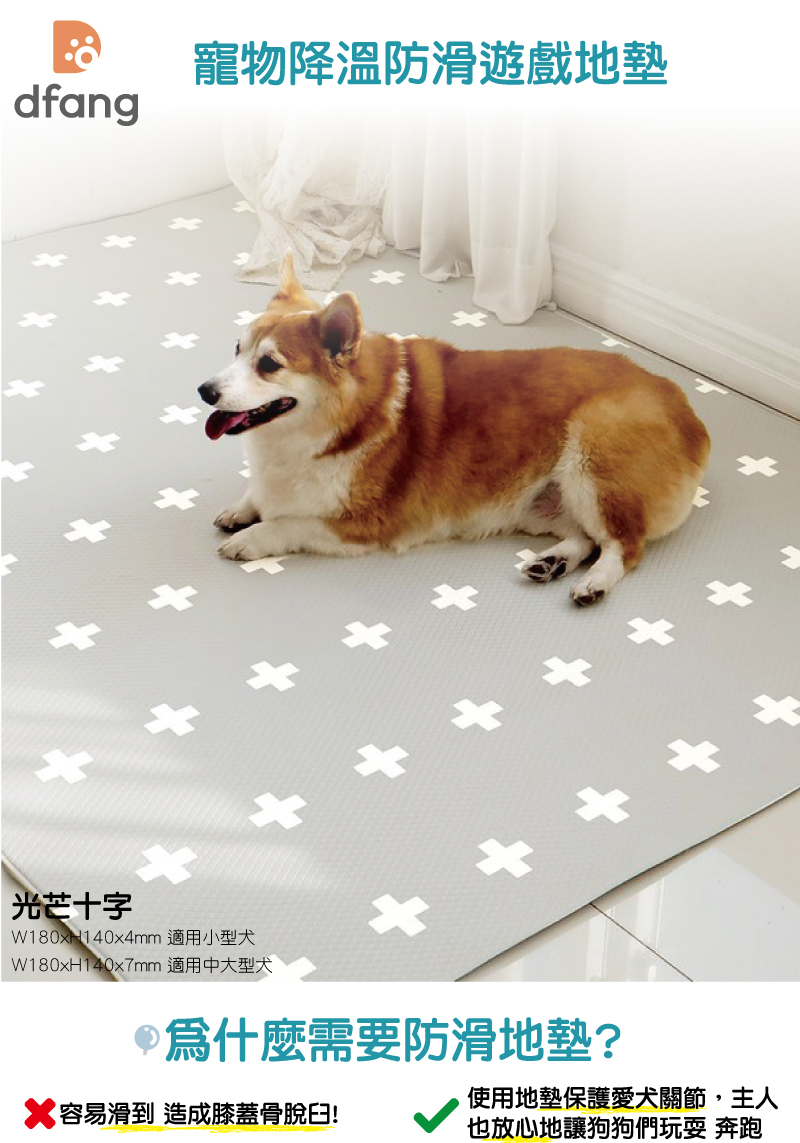 韓國製 dfang迪邦 寵物降溫遊戲地墊-光芒十字 (耐刮靜音)