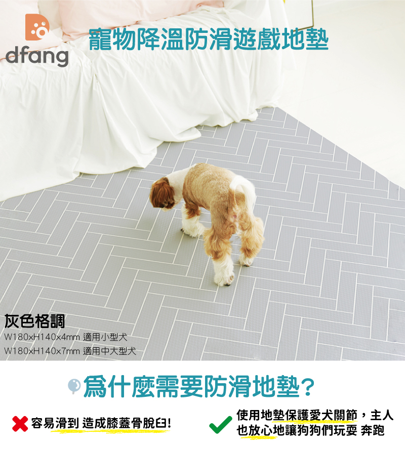 韓國製 dfang迪邦 寵物降溫遊戲地墊-灰色格調 (耐刮靜音)
