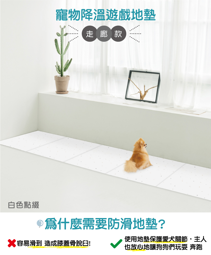 韓國製 dfang迪邦 寵物降溫遊戲地墊-摺疊走廊款240*70cm (白色點綴4片組)