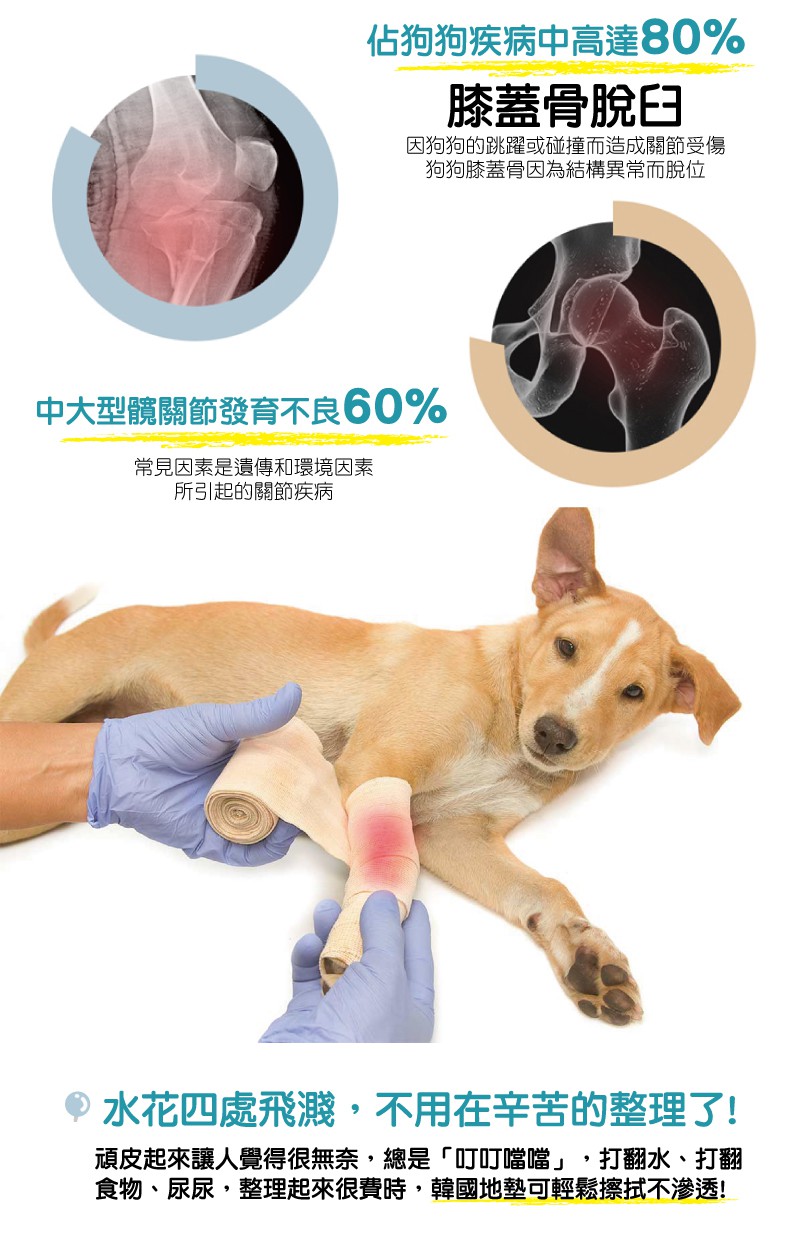 韓國製 dfang迪邦 寵物降溫遊戲地墊-光芒十字 (耐刮靜音)