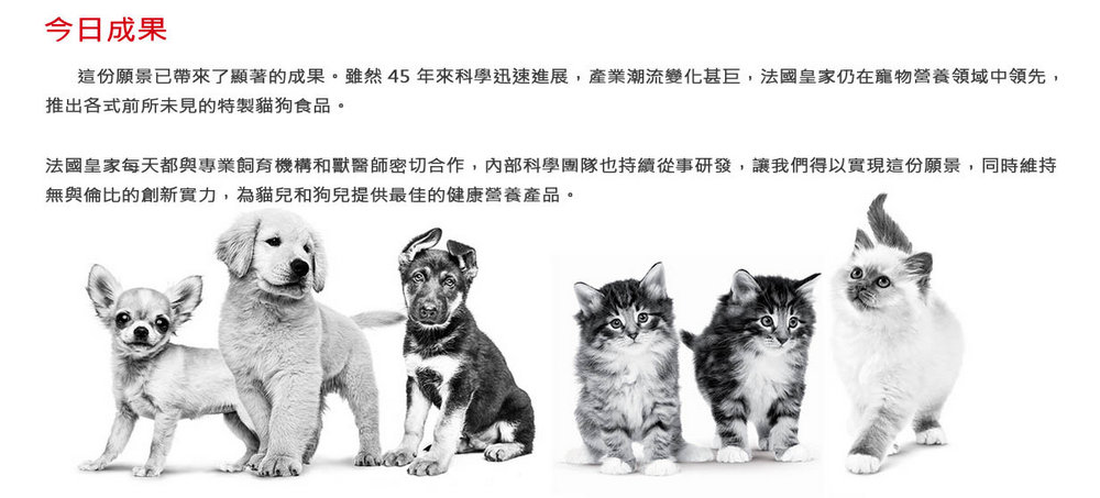 法國皇家IH34加強化毛貓