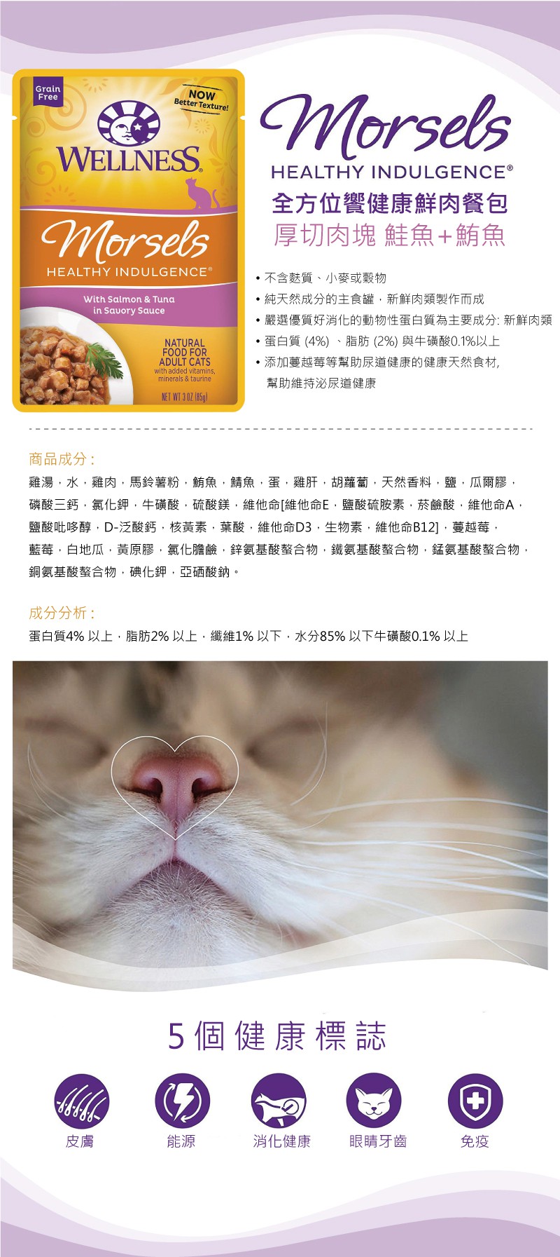 WELLNESS 寵物健康 全方位饗健康鮮肉餐包-厚切肉塊 鮭魚+鮪魚 85g