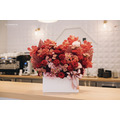 鮮花開幕盆花|FL017_2 鮮花開幕盆花|FL017_2
