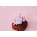 永生玫瑰迷你玻璃盒|粉色_3 永生玫瑰迷你玻璃盒|粉色_3