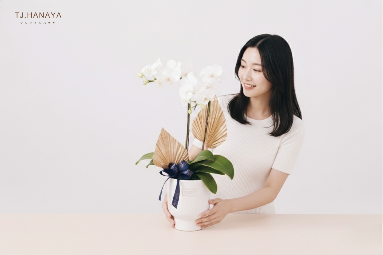 蘭花盆栽尺寸示意圖及情境圖